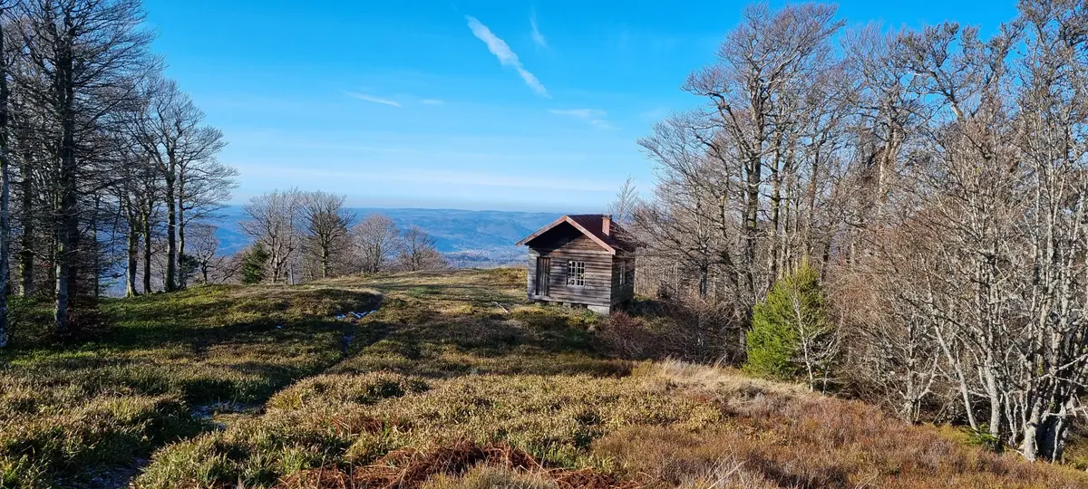 Cabane forestière sur les chaumes, face à la vallée