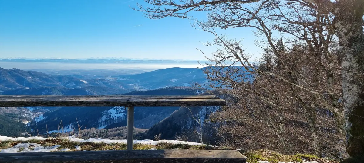 Banc en bois face au panorama hivernal des Vosges