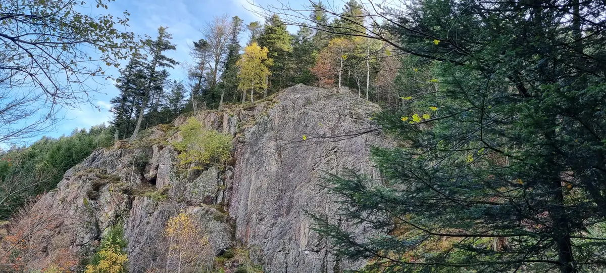 Falaise de la Roche de l'Ours en forêt