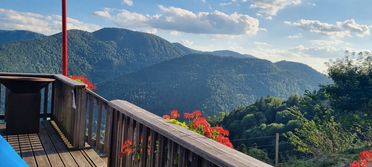 Terrasse fleurie de géraniums d’une ferme-auberge vosgienne
